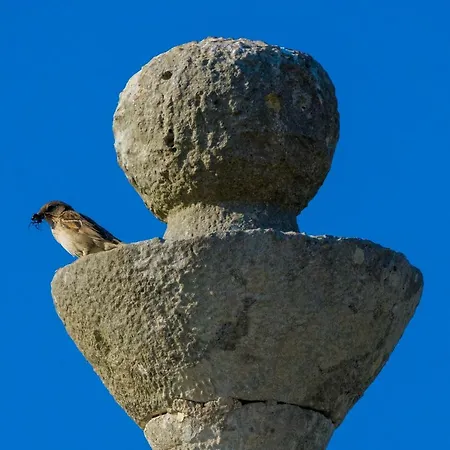 Trullo La Quiete Alberobello